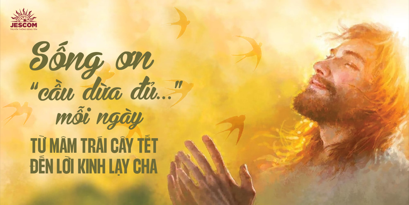 Sống ơn ‘cầu dừa đủ…’ mỗi ngày – từ mâm trái cây Tết đến lời Kinh Lạy Cha